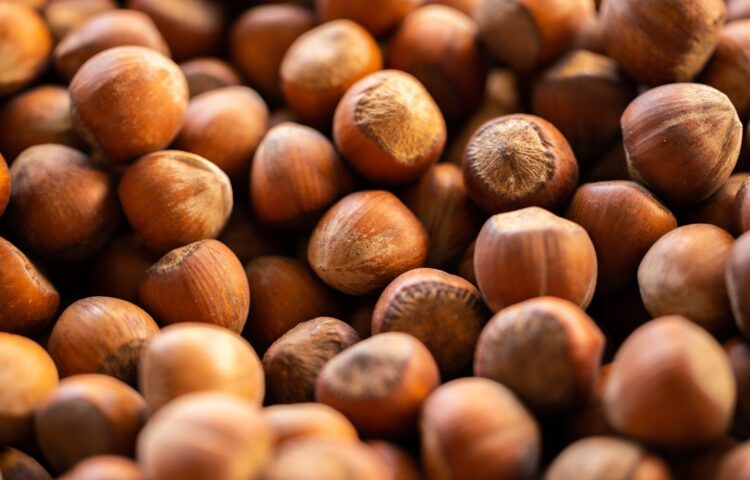 noisette Label Meunier